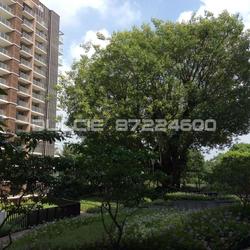 Bartley Residences (D19), Apartment #88208232